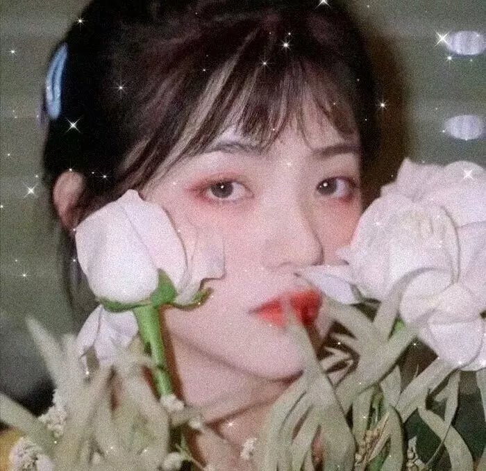 人生七年3